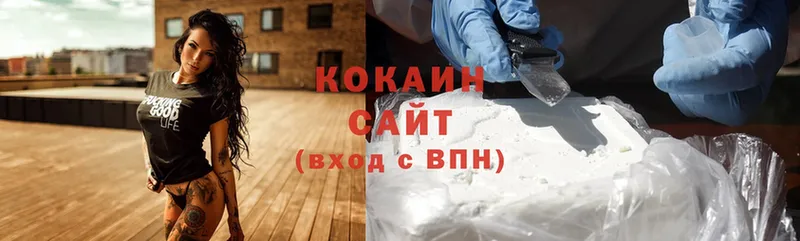 Cocaine Fish Scale  Новомичуринск 