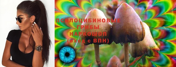 спиды Нефтегорск