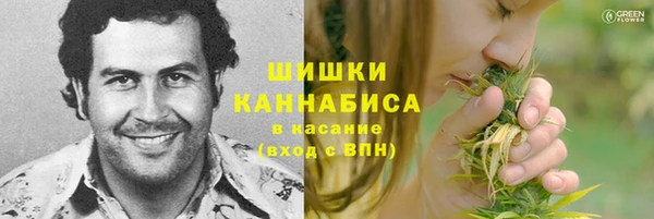 твердый Новокубанск