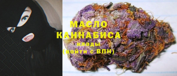 2c-b Новозыбков