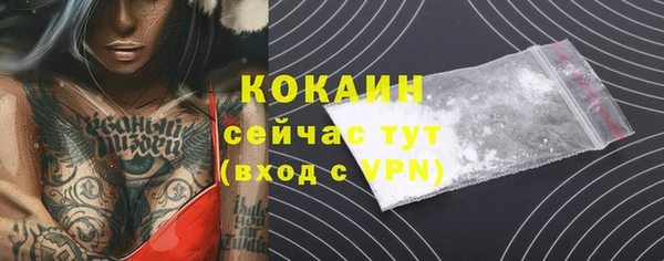 твердый Новокубанск
