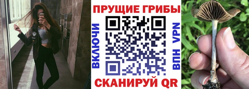 Псилоцибиновые грибы прущие грибы  Новомичуринск 